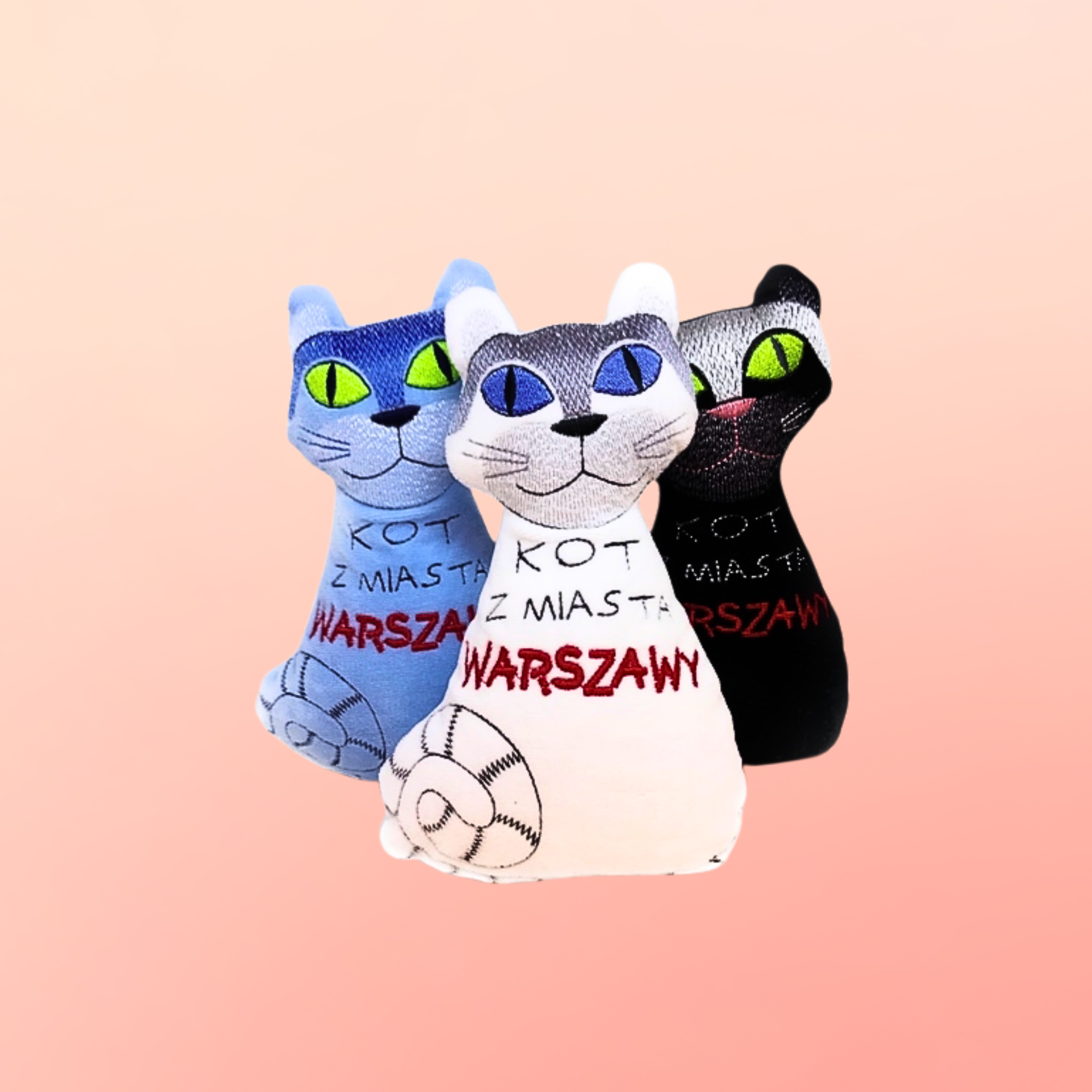 Kot z miasta Warszawy